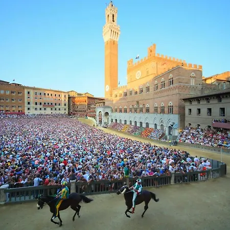 Sole Siena